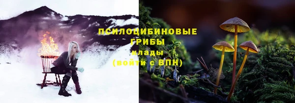 трава Баксан